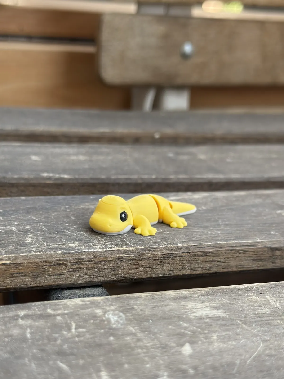 Gecko — our photo of the real toy