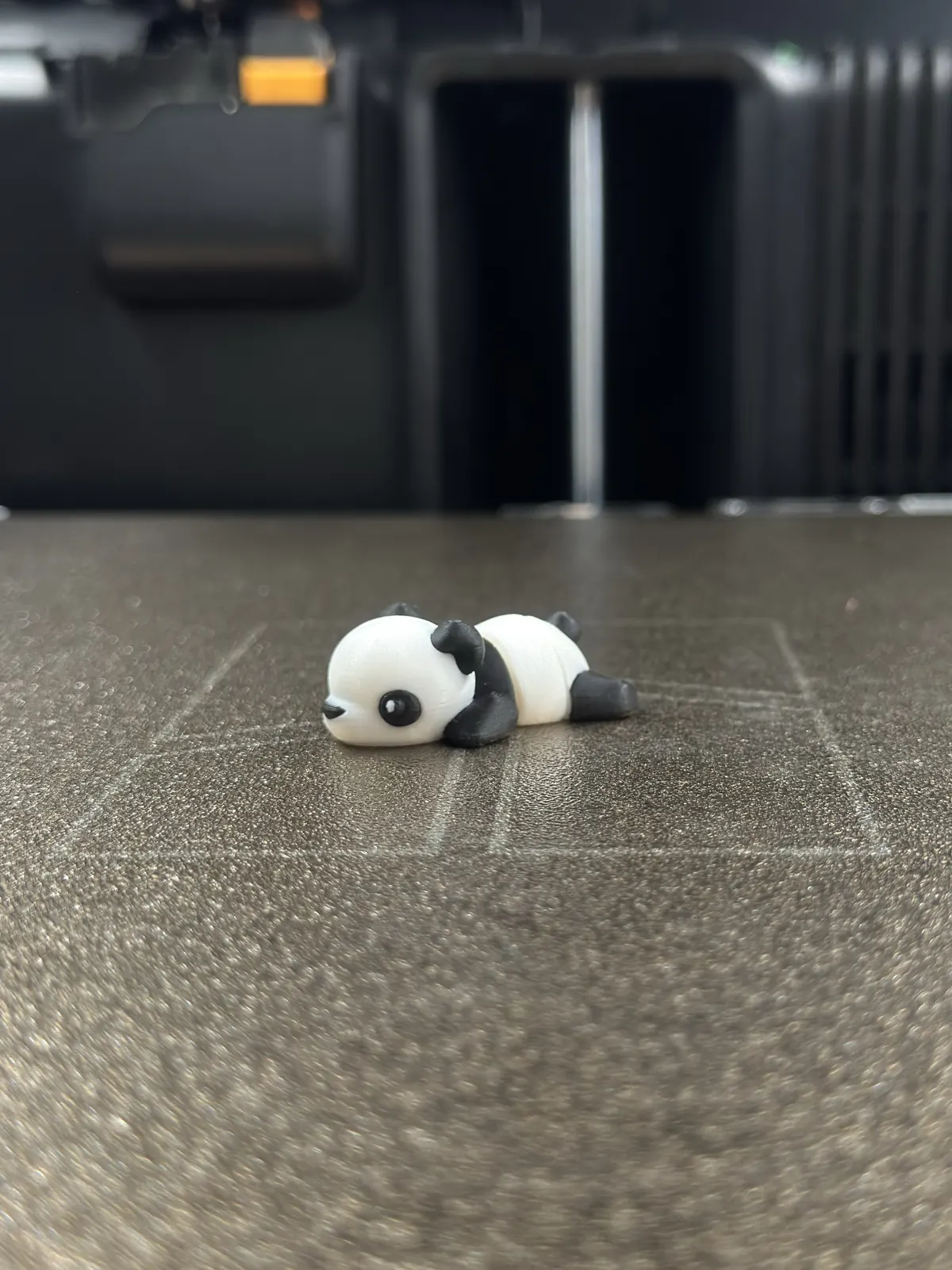 Panda — our photo of the real toy