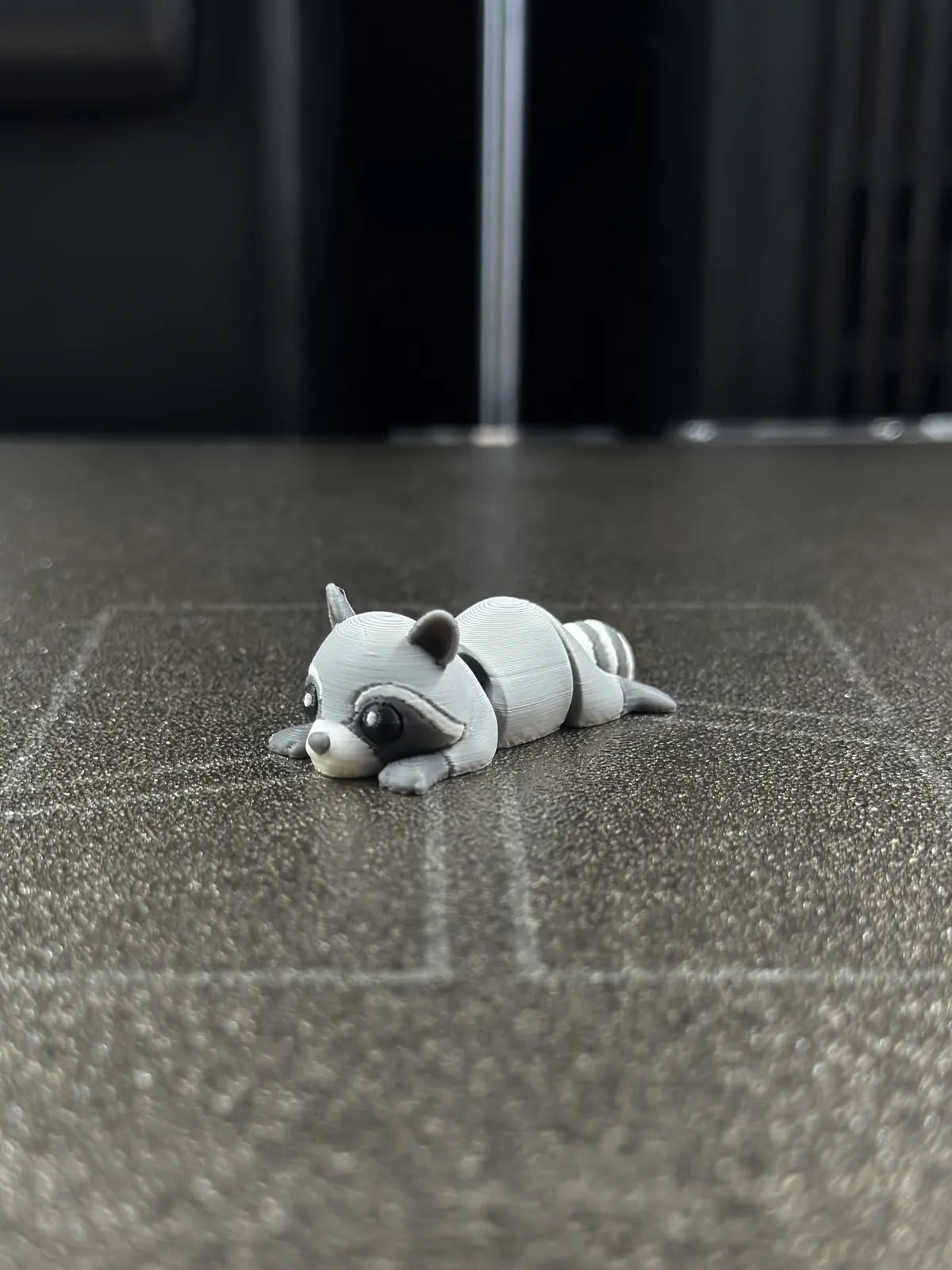 Raccoon — our photo of the real toy