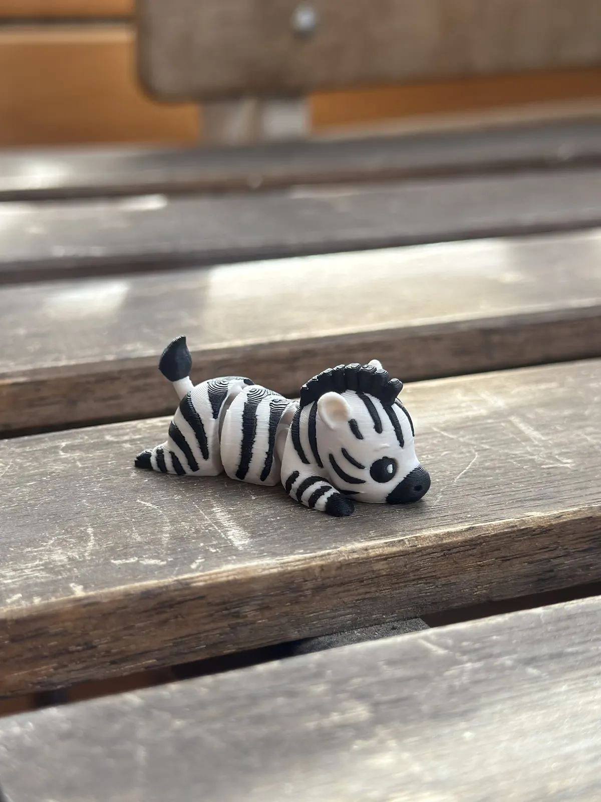 Zebra — our photo of the real toy
