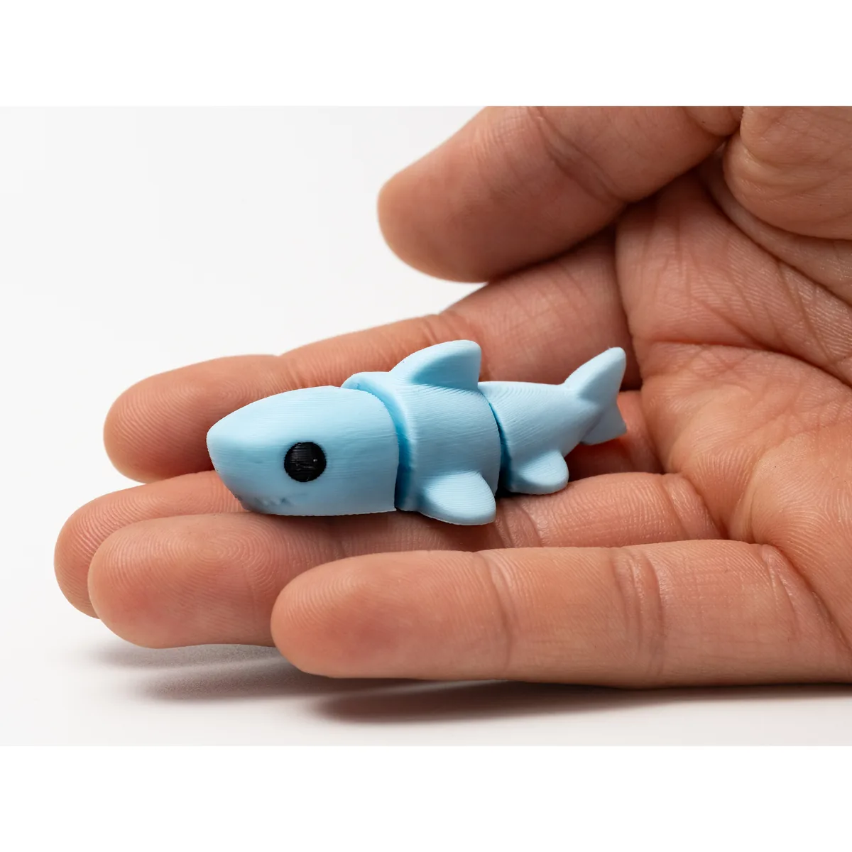 Mini Shark — close up